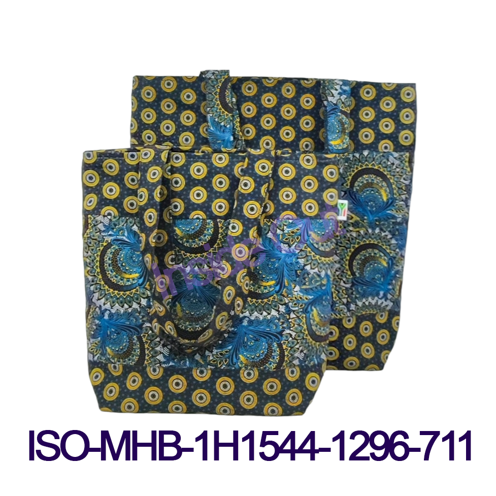 ISO LHB 1H1544 1296 711 1