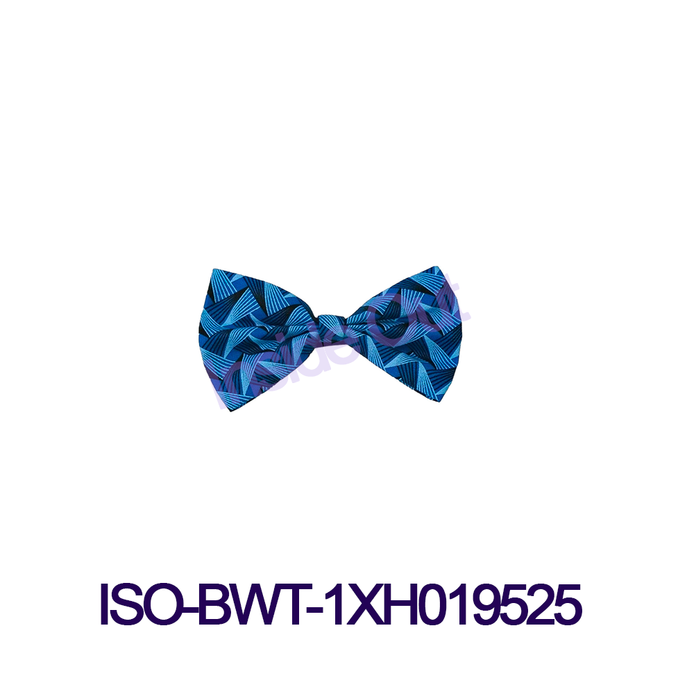 ISO BWT 1XH019525